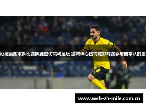 厄德高国家队比赛脚踝重伤震动足坛 挪威核心伤情或影响赛季与国家队前景